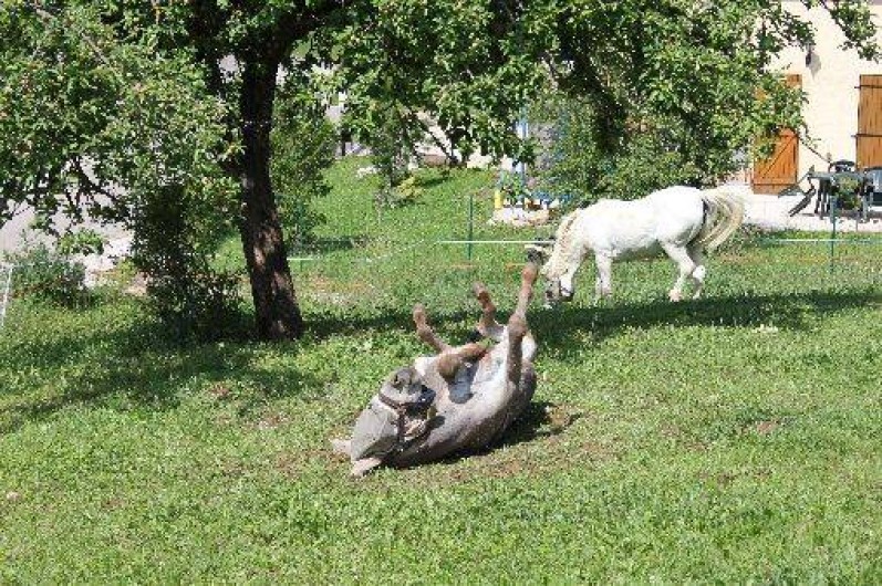 Location de vacances - Chalet à Le Latet