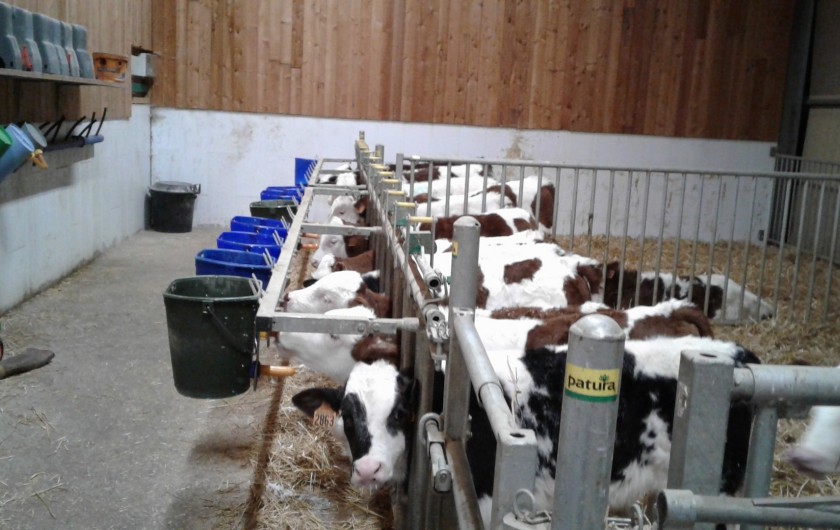 Location de vacances - Chalet à Le Latet