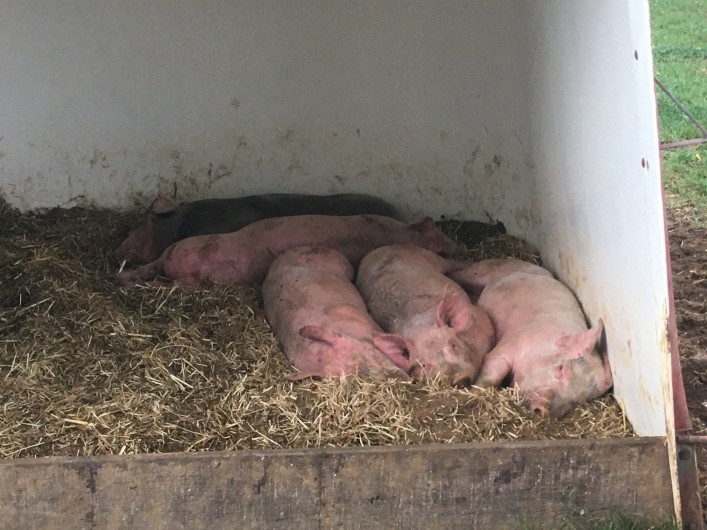 Location de vacances - Chalet à Le Latet