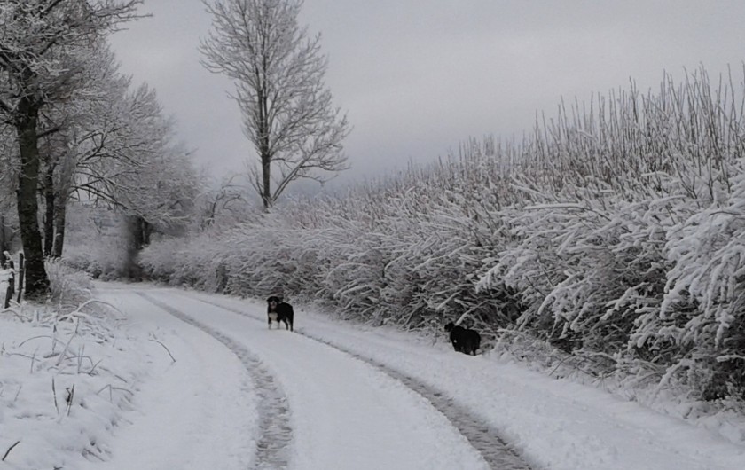 Location de vacances - Chalet à Le Latet