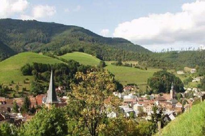 Location de vacances - Gîte à Sainte-Marie-aux-Mines