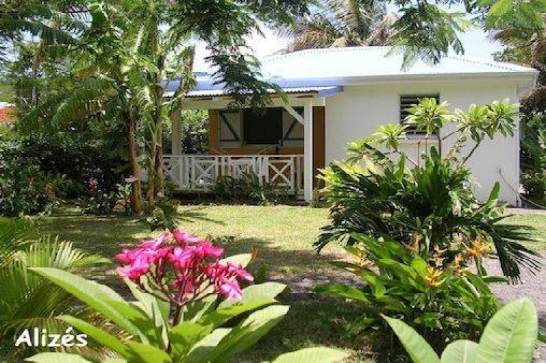 Location de vacances - Bungalow - Mobilhome à Deshaies - bungalow ALIZES