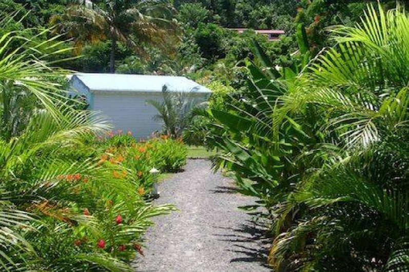 Location de vacances - Bungalow - Mobilhome à Deshaies - jardin