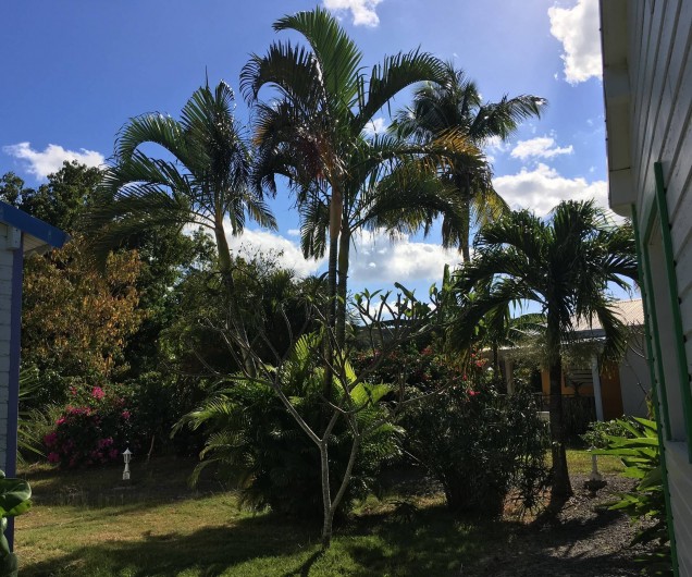 Location de vacances - Bungalow - Mobilhome à Deshaies