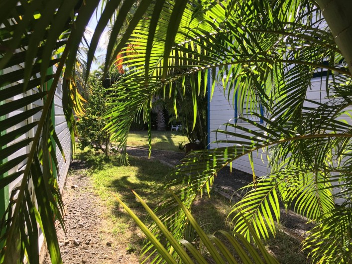 Location de vacances - Bungalow - Mobilhome à Deshaies