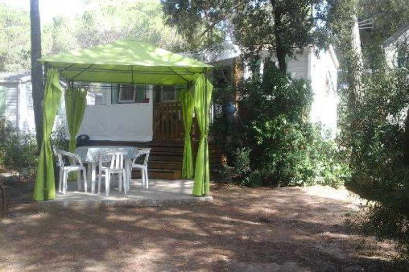 Location de vacances - Camping à Puget-sur-Argens