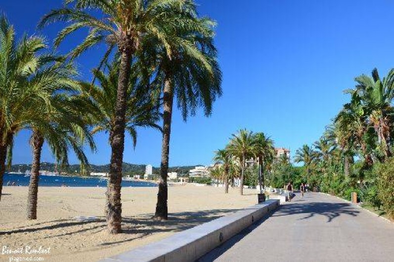 Location de vacances - Appartement à Bormes-les-Mimosas