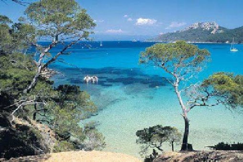 Location de vacances - Appartement à Bormes-les-Mimosas