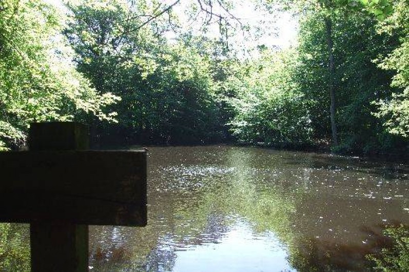 Location de vacances - Maison - Villa à Franchesse - L'étang