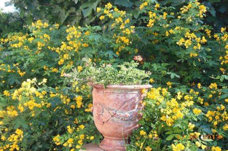 Location de vacances - Studio à Cavalaire-sur-Mer