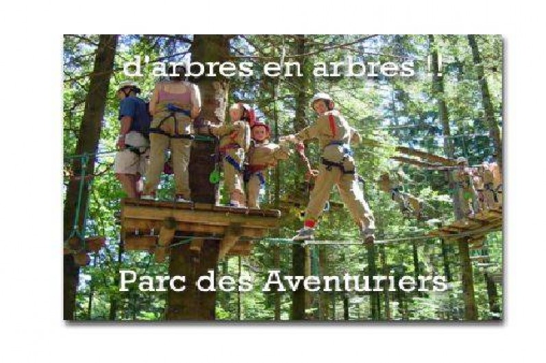 Location de vacances - Gîte à La Bresse - Activité à LA BRESSE parcours aventure