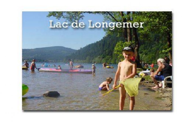 Location de vacances - Gîte à La Bresse - Baignade lac htes Vosges