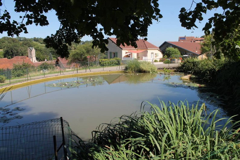Location de vacances - Chambre d'hôtes à Pupillin - les alentours