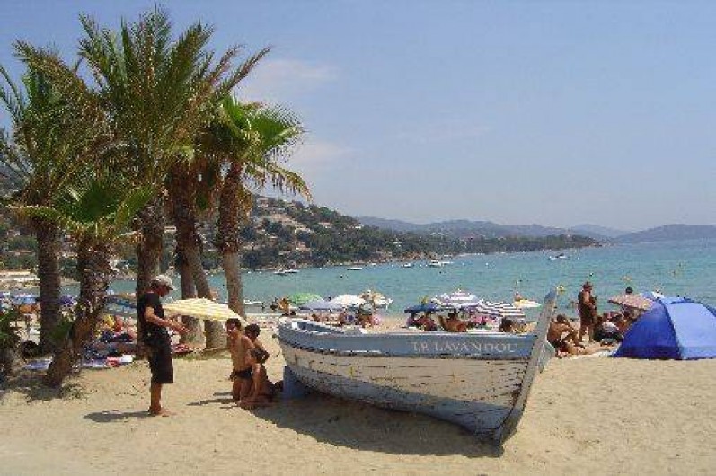 Location de vacances - Appartement à Le Lavandou - plage de sable fin mer turquoise