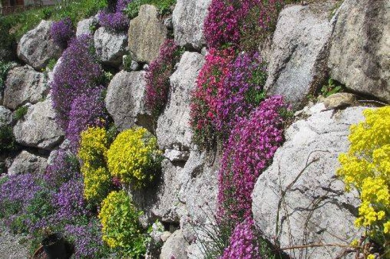 Location de vacances - Gîte à Habère-Poche