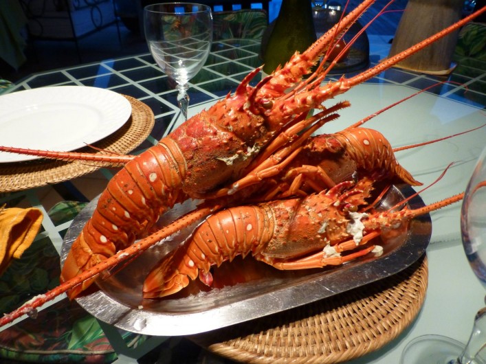 Location de vacances - Gîte à Le François - Spécialité martiniquaise Port de pêche à 5 minutes de la maison