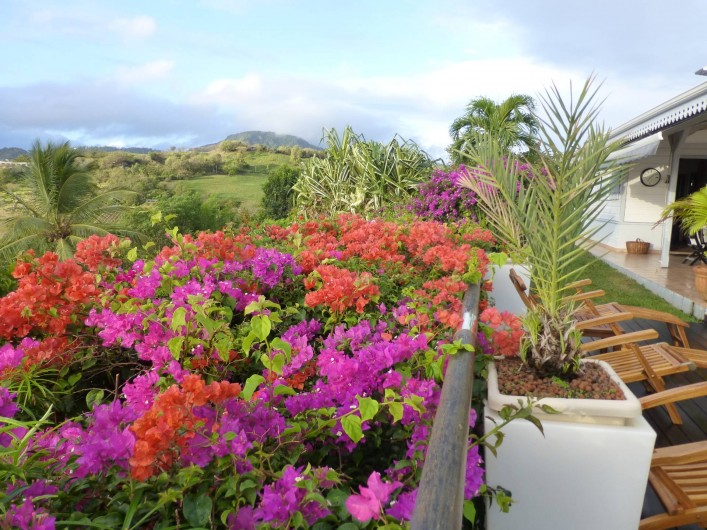 Location de vacances - Gîte à Le François - Bougainvilliers sur terrasse