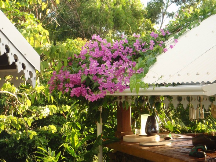 Location de vacances - Gîte à Le François - Carbet coin cuisine