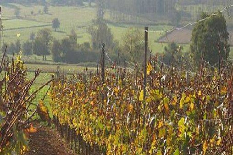 Location de vacances - Gîte à Torgny