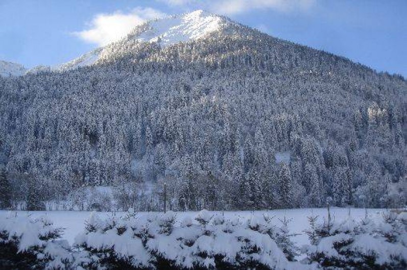 Location de vacances - Appartement à La Chapelle-d'Abondance