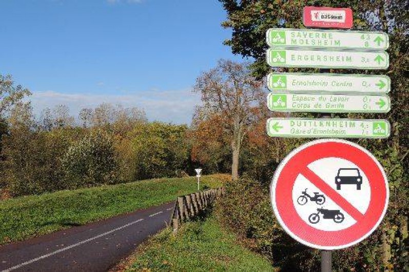 Location de vacances - Gîte à Ernolsheim-Bruche