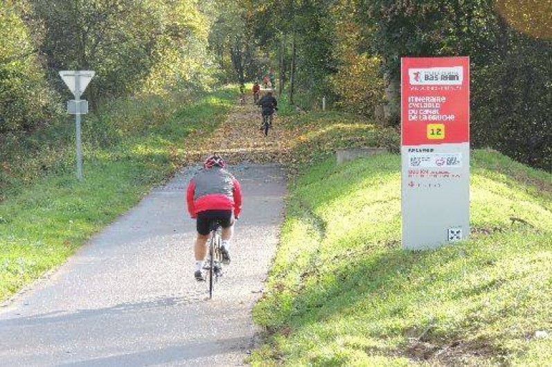 Location de vacances - Gîte à Ernolsheim-Bruche