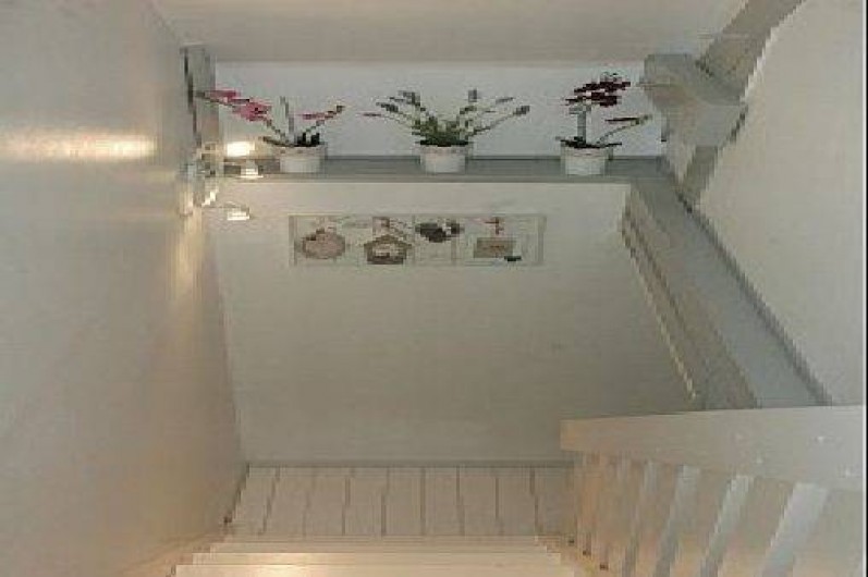 Location de vacances - Gîte à Amboise