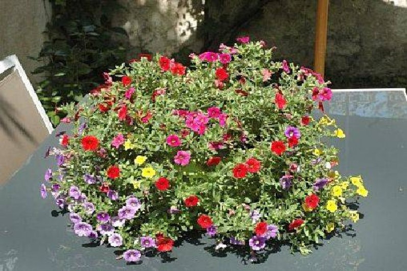 Location de vacances - Gîte à Amboise