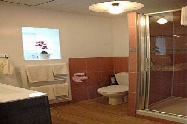 Location de vacances - Gîte à Amboise