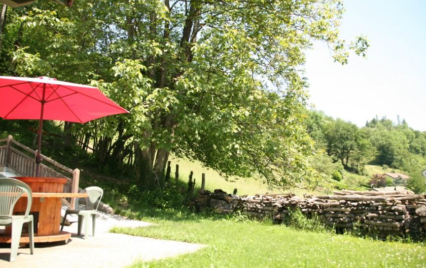 Location de vacances - Villa à Paladru - Terrasse / petit jardin plat