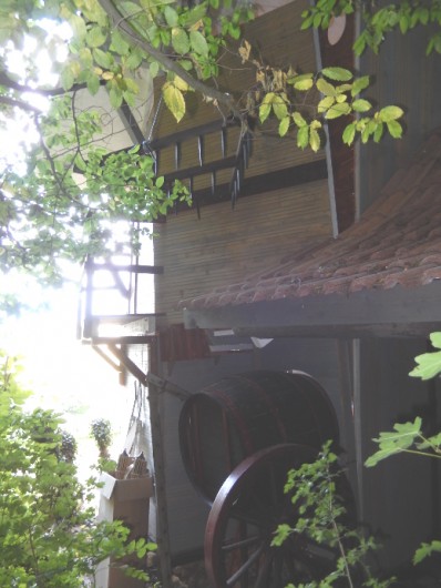 Location de vacances - Villa à Paladru - Une des surprises au fond du bois