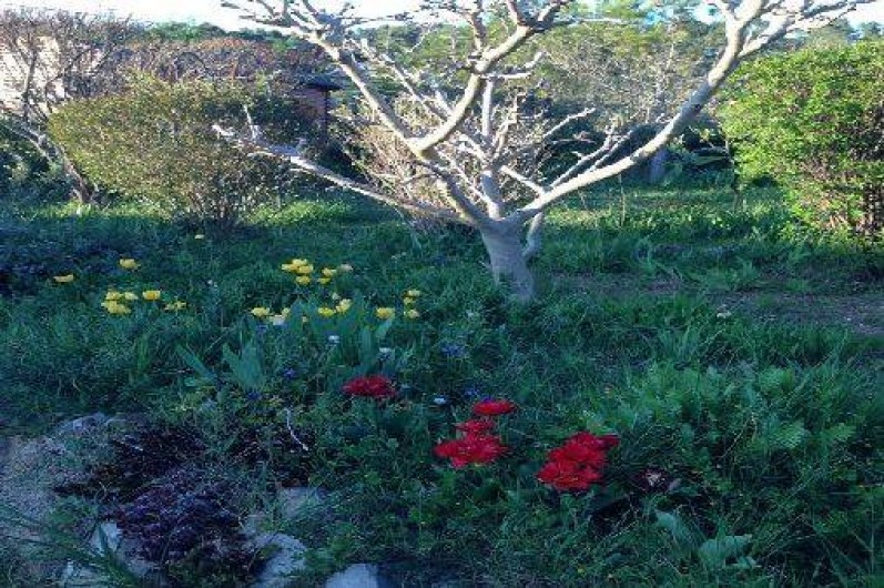 Location de vacances - Chambre d'hôtes à Carnoules