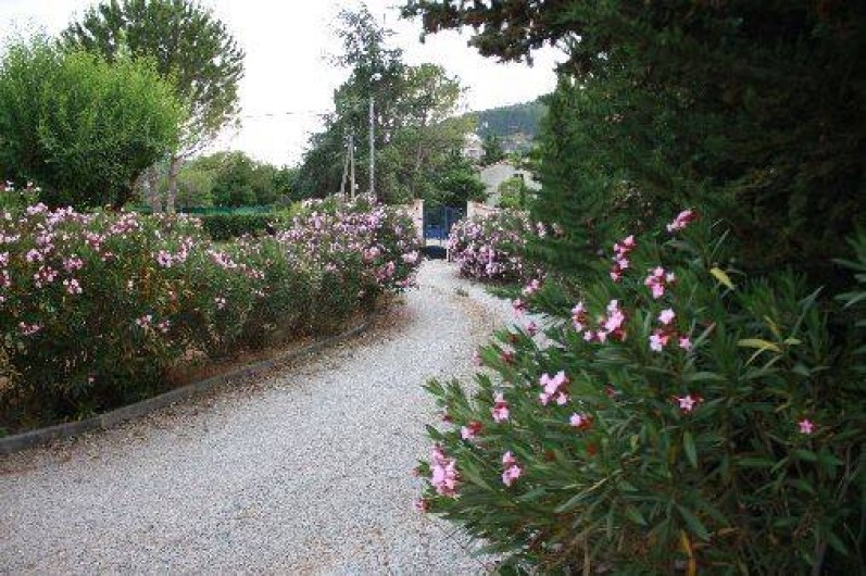 Location de vacances - Chambre d'hôtes à Carnoules