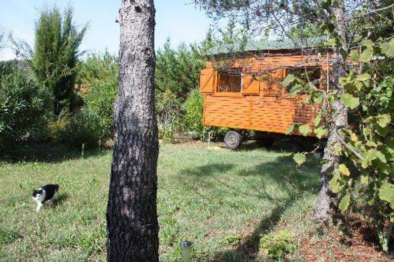 Location de vacances - Chambre d'hôtes à Carnoules