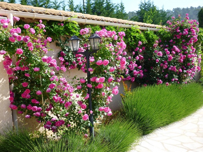 Location de vacances - Chambre d'hôtes à Carnoules