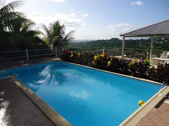 Location de vacances - Gîte à Sainte-Luce - La piscine: 8m sur 4m hydrolyse