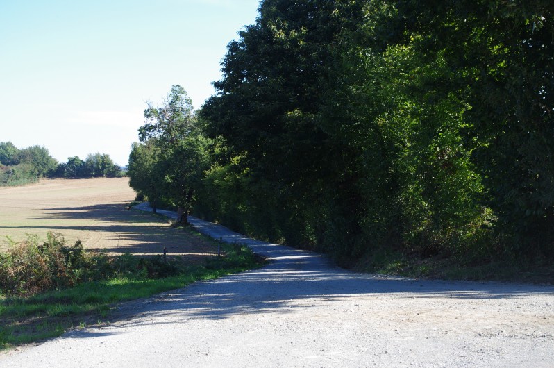 Location de vacances - Gîte à Pouzauges - Une petite ballade dans la campagne.