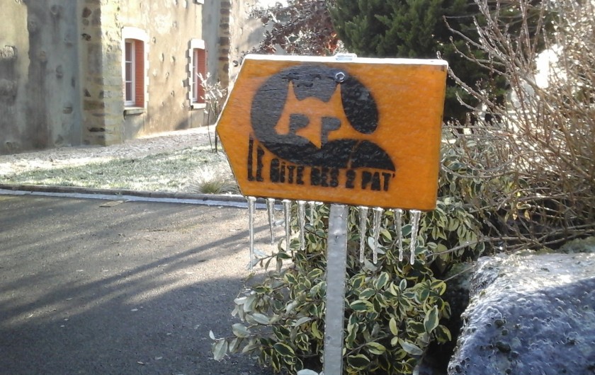 Location de vacances - Gîte à Pouzauges - Parfois en hiver, le givre emprisonne la végétation.