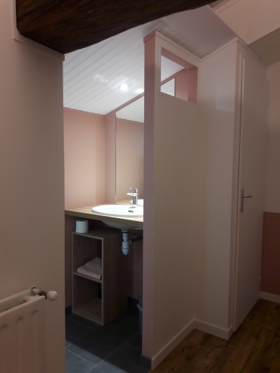 Location de vacances - Gîte à Pouzauges - Présentation de la salle d'eau et des WC privatifs de la chambre Hulotte.