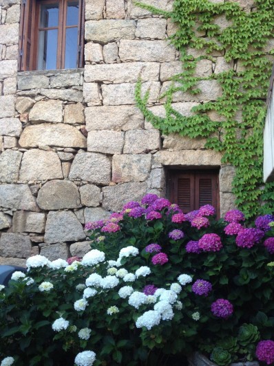 Location de vacances - Maison - Villa à Lecci