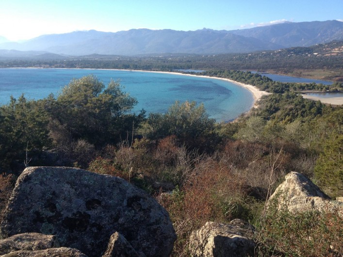 Location de vacances - Maison - Villa à Lecci