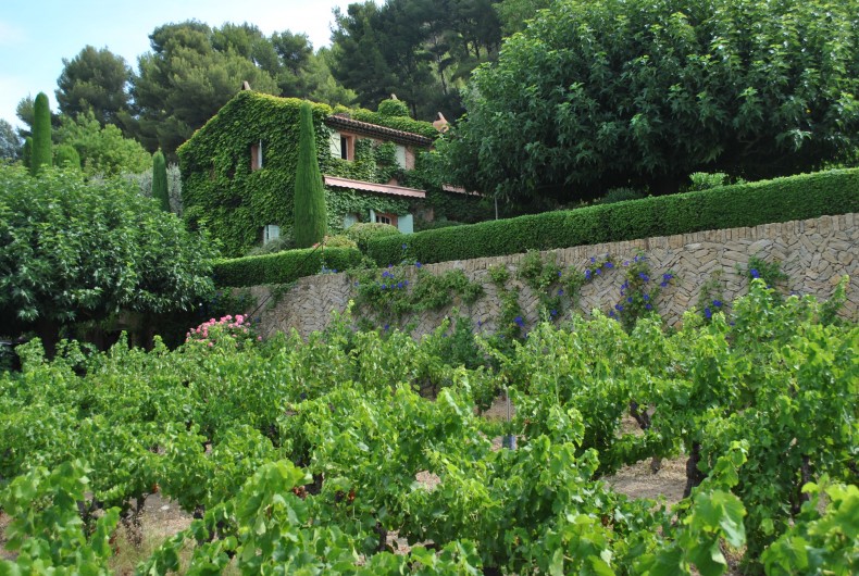 Location de vacances - Maison - Villa à La Cadière-d'Azur
