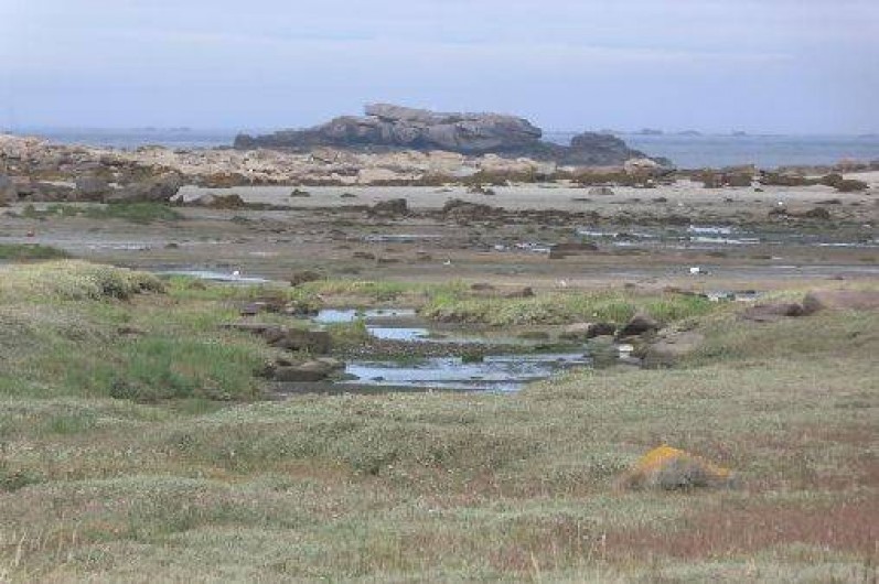 Location de vacances - Appartement à Trégastel