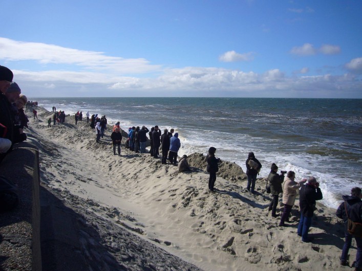 Location de vacances - Studio à Fort-Mahon-Plage