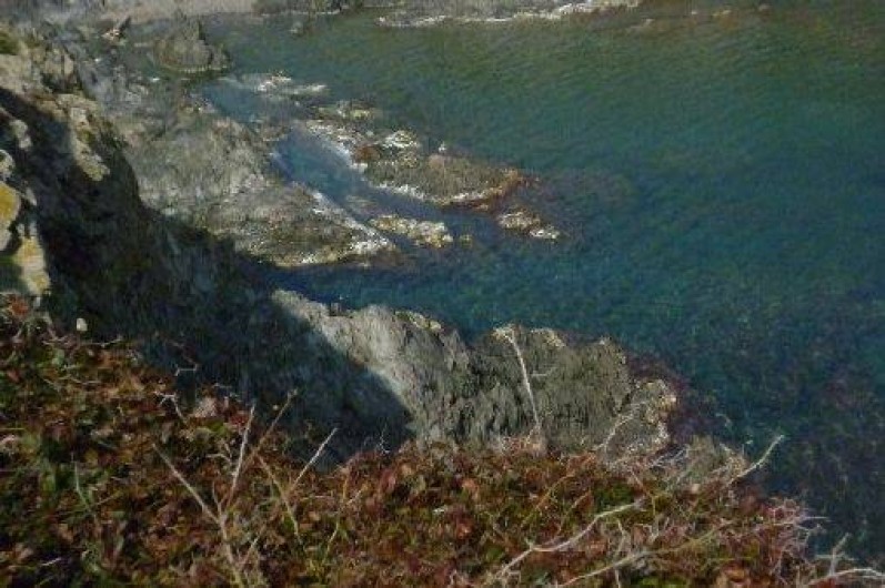 Location de vacances - Appartement à Banyuls-sur-Mer