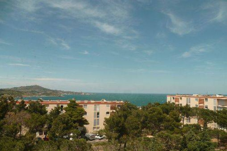 Location de vacances - Appartement à Banyuls-sur-Mer