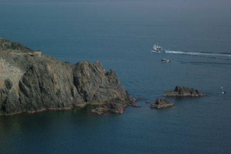 Location de vacances - Appartement à Banyuls-sur-Mer