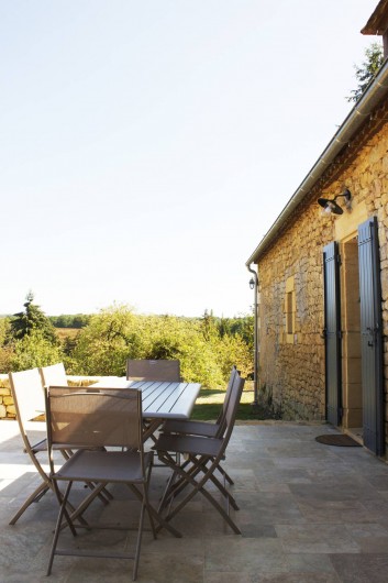 Location de vacances - Gîte à Saint-Avit-Sénieur - terrasse arrière avec barbecue.