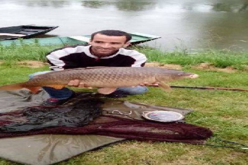 Location de vacances - Gîte à Benet