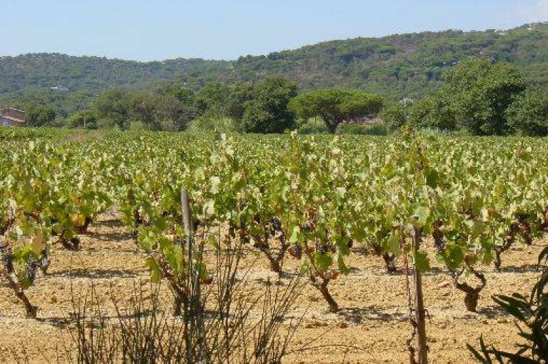Location de vacances - Studio à Ramatuelle